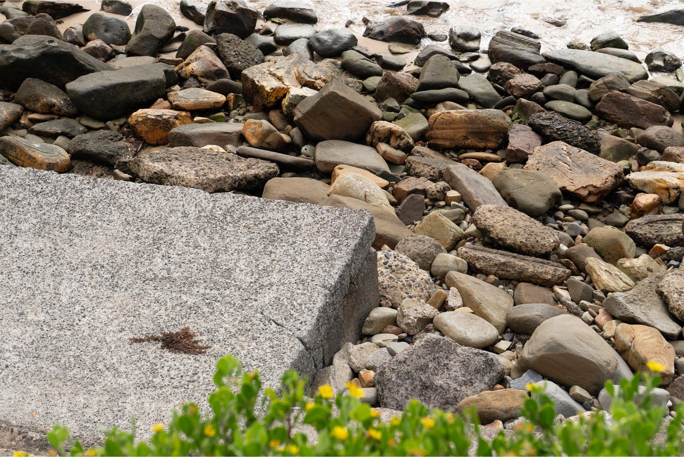 A slab of weathered concrete among rounded beach stones and low green plants