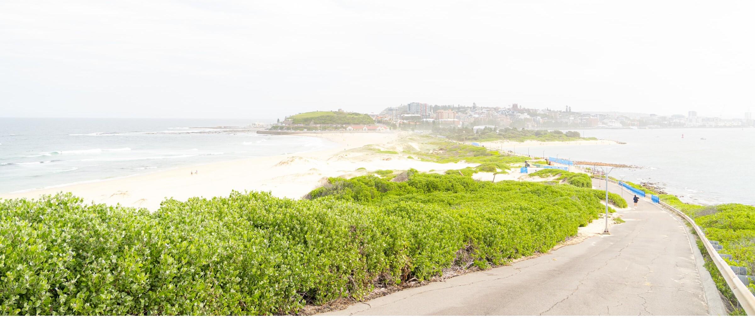 A coastal path curving past green scrub towards a sandy point and the sea